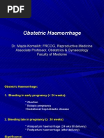 Download 7-Obstetric hrrge copy by api-3703352 SN23477619 doc pdf
