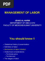 Download 9-Management of Normal and Abnormal Labor by api-3703352 SN23477623 doc pdf