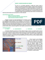 Fisiología y Fisiopatología Del Hígado PDF