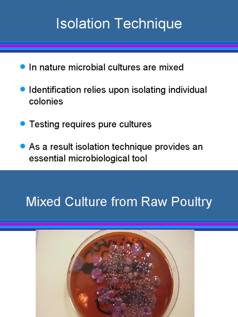Isolation Technique | PDF | Clinical Pathology | Life Sciences