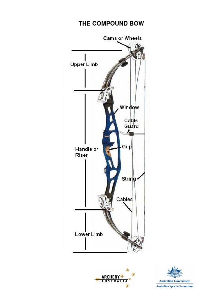 Understanding Compound Bows: A Guide | PDF