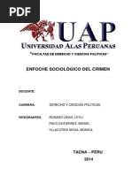 Trabajo de Criminologia Semi Terminado