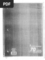 Download Aaron Ybarra Journal Pages by KING 5 News SN234821213 doc pdf
