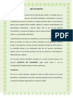 informe pedagogico