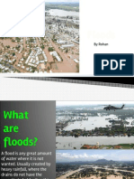 How Do Floods Effect Animals?