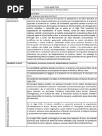 Ficha Analitica1