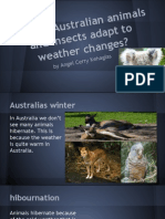 How Do Australian Animals Adapt To Weather Changes?