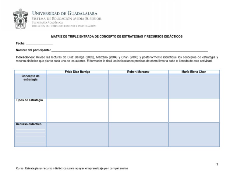 Matriz de Triple Entrada de Conceptos de Estratégias y