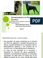 Entrenamiento de Perros de Guardia