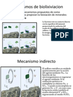 Mecanismos de Biolixiviacion