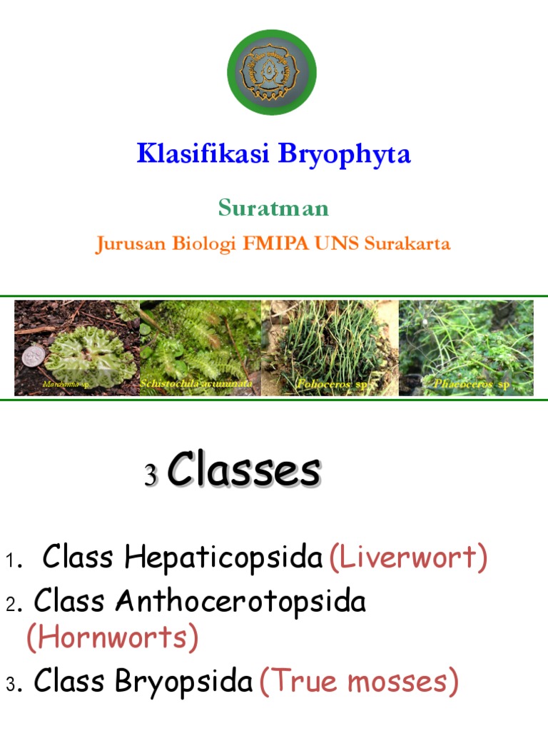 Klasifikasi Bryophyta (Part I) 260214 | PDF | Moss | Plant Morphology
