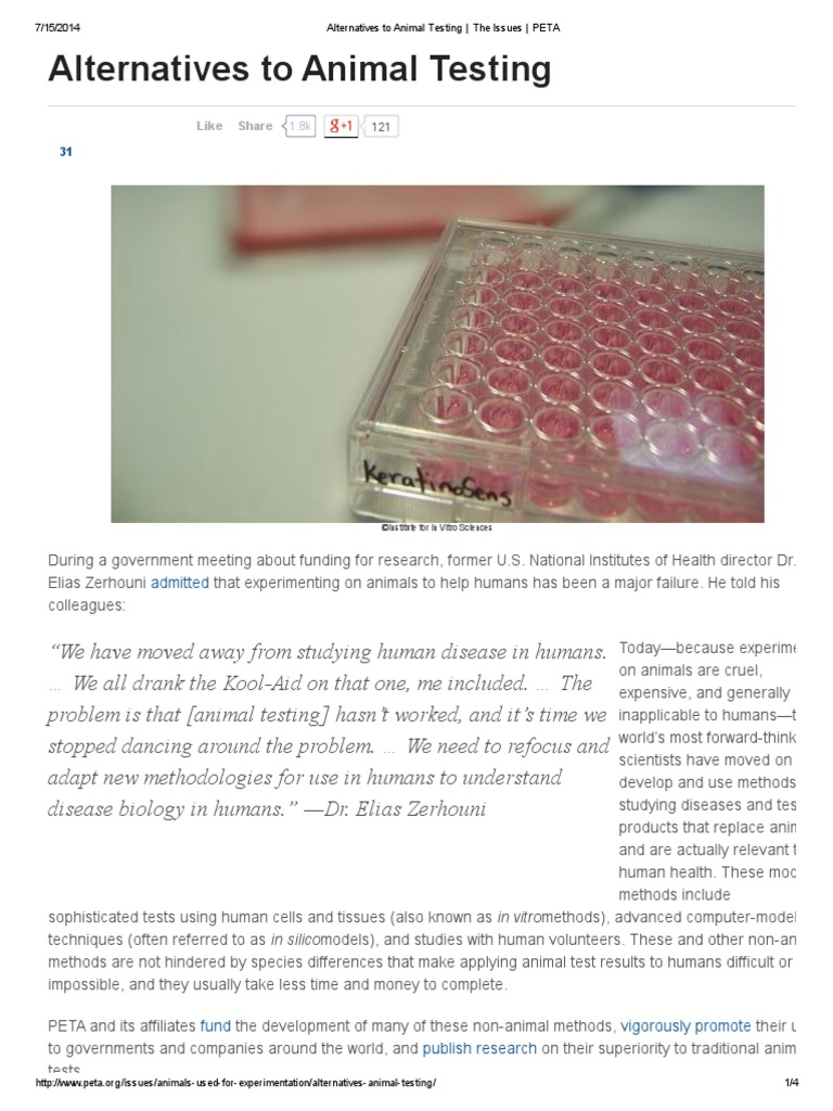 Alternatives To Animal Testing The Issues PETA PDF Animal