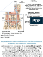 56455321-Ficatul