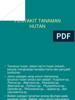 Penyakit Tanaman Hutan