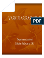 Cst125 Slide Vaskularisasi Otak