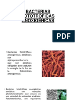 Biotecnologia