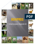 Bovipreg English - 2012