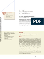 Sex Chromosome in Plants