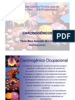 Apresentacao - Carcinogenicos 2014