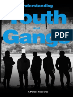 Understanding Youth and Gangs Booklet