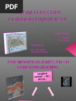 9 - Distocia Funicular