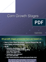 Corn Growth Stages: Grain Crops Extension, University of Kentucky