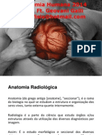 Anatomia Radiológica Punho e Mão