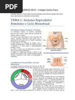 apostila_seminarios1