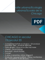 Etnografia Urbana - Chicago Actualizat 2009