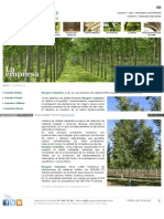 Www Bosques Naturales Com Quienes ASP