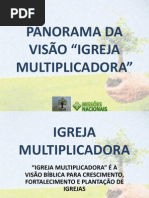 0. IM Panorama Da Visão