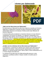 salmonela infecciones