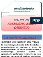 neurofisiologia