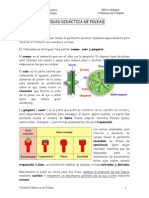 Unidad Didáctica de Poleas