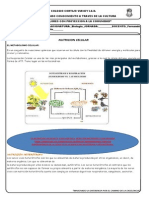 Guia Para Ac1 Biologia Nutricion