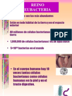 Anatom_a_Bacteriana.ppt