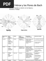 El Viaje Del Héroe y Las Flores de Bach Final