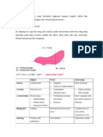 Ulkus Varicosum Definisi dan Penyebab