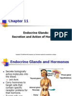 Endocrine Glands