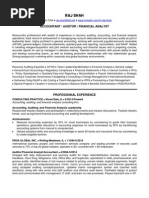 Accountant Auditor Financial Analyst in Chicago IL Resume Raj Shah