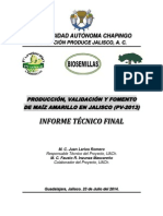 Maíz Amarillo 2013-2014, UACh-FUNPROJAL