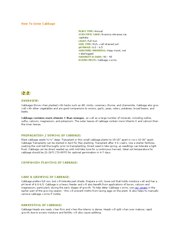Cabbage Growing Guide: Tips & Care | PDF