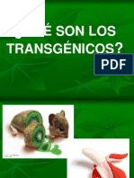 Transgenico 1219640109902925 8