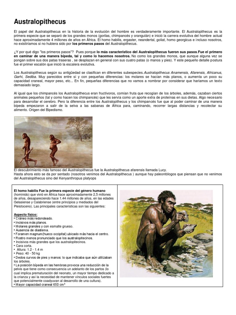 Australopithecus | PDF | neanderthal | Homo