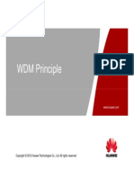 Otc000003 WDM Principle Issue1