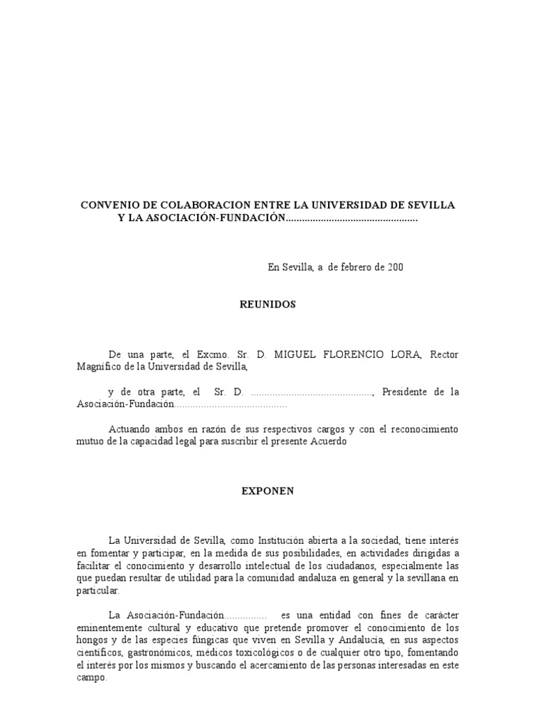 Modelo de Convenio Asociaciones, Fundaciones | PDF | Sevilla | Universidad