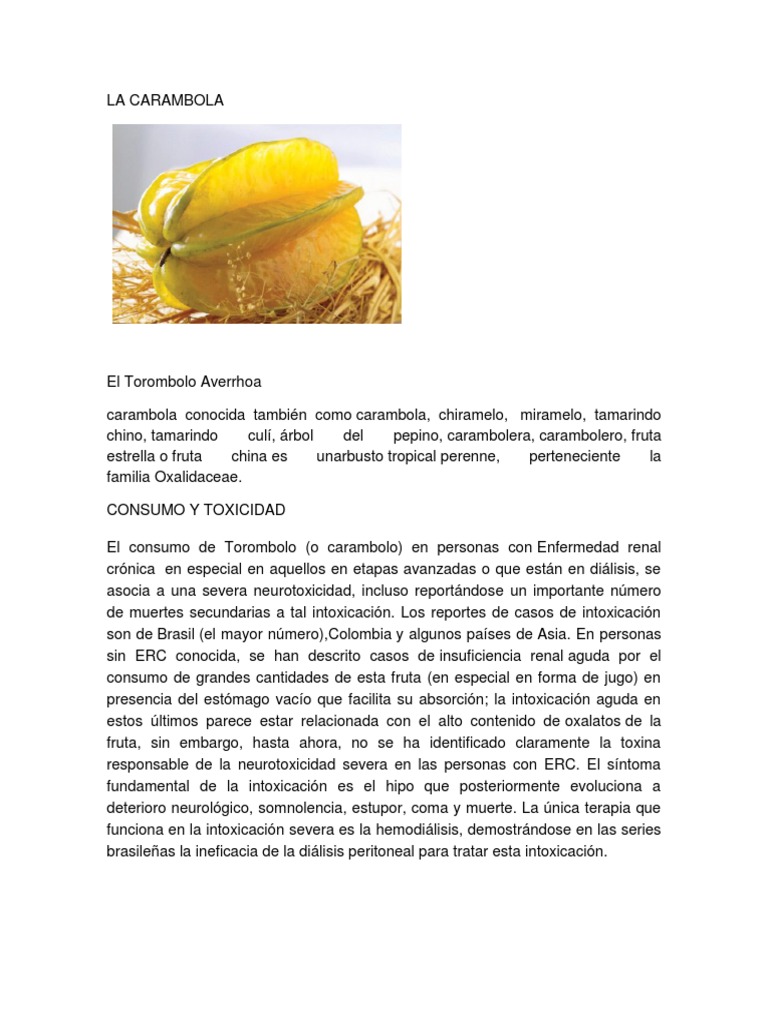Libro De Alimentos Docx Ajo Bienestar