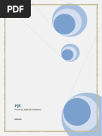 Manual Pje