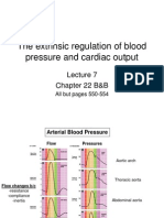 Lecture 7 - Regulation of Blood Pressure