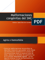 Malformaciones Congénitas Del SNC